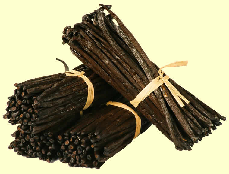 Picture of Vanilla Beans from Madagascar