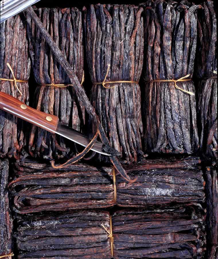 Picture of Vanilla Beans from Madagascar - Amadeus Vanilla Beans Signature Image