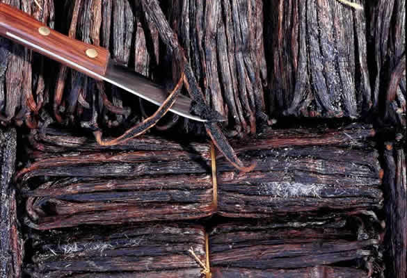 Picture of vanillin crystalizing out to surface of Bourbon vanilla beans.